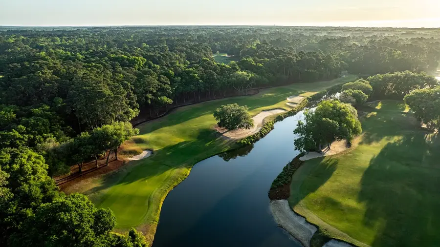 Live oaks lining the approach at Caledonia Golf and Fish Club
