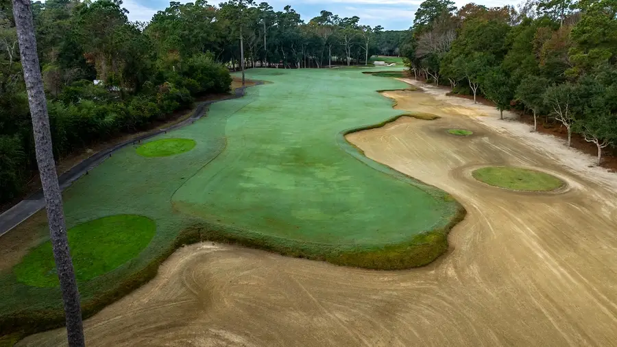 A fairway at Caledonia between a long waste area and the trees, seen from beside a pine