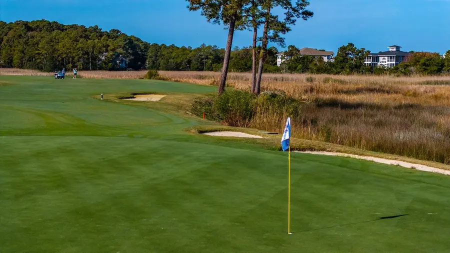 A green above the marsh at Tidewater Golf Club
