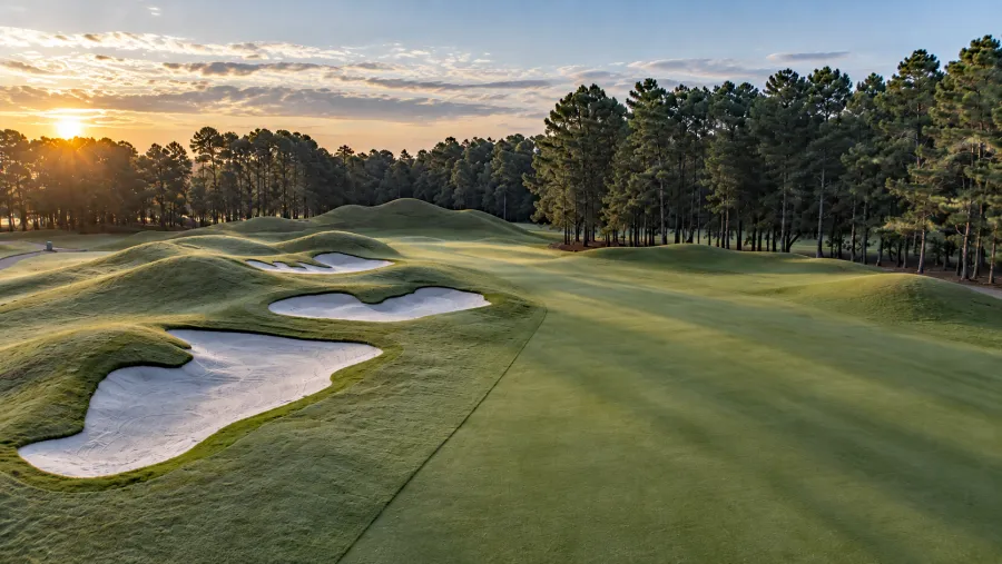 Mounded bunkers beside the 13th fairway at Wild Wing Avocet at sunrise, with pines beyond