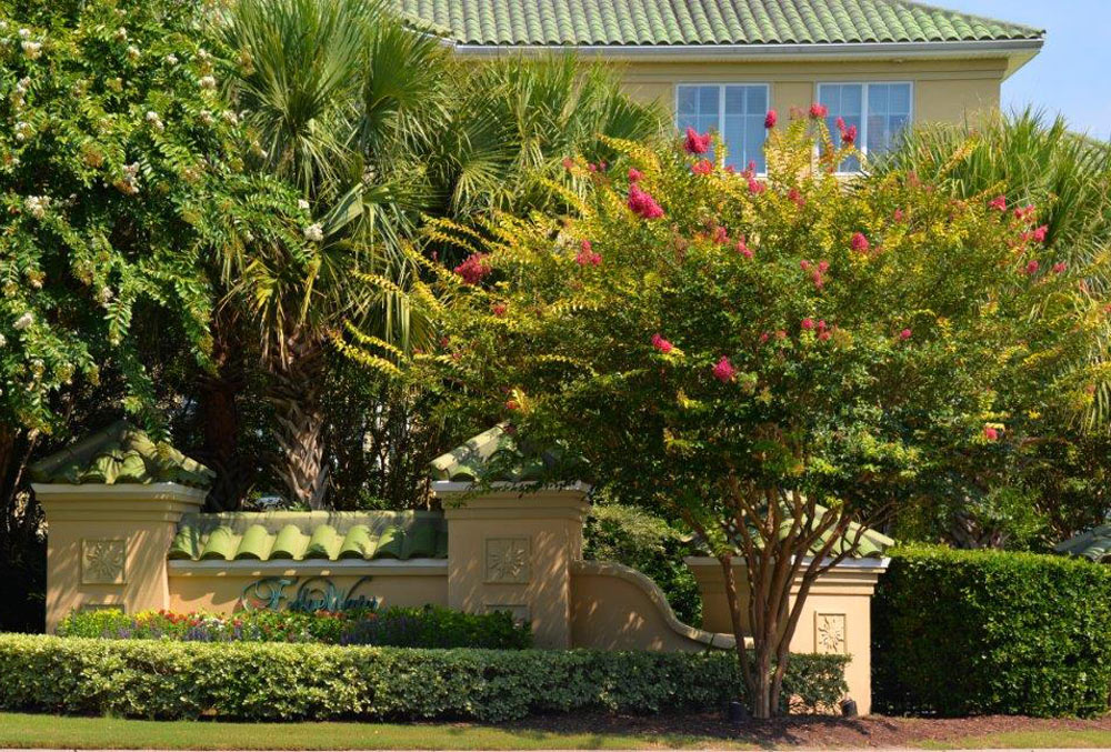 The entrance to the villas at Barefoot Resort, with palms and crepe myrtles in flower
