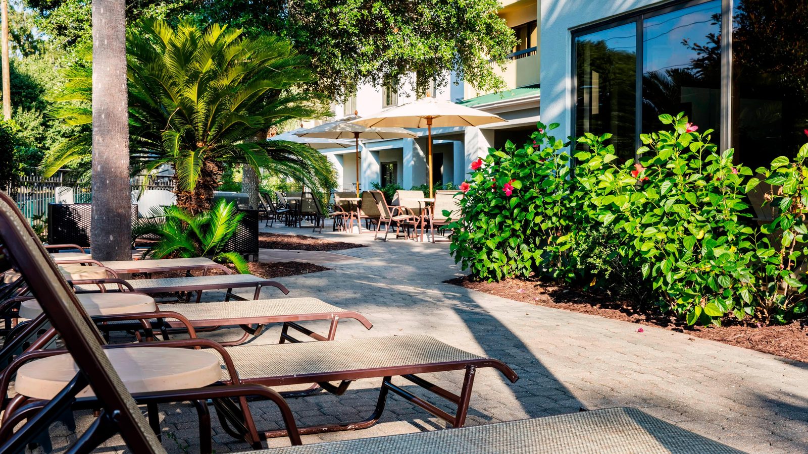 Sun loungers, umbrellas and hibiscus on the outdoor patio at the Courtyard by Marriott near Barefoot Landing