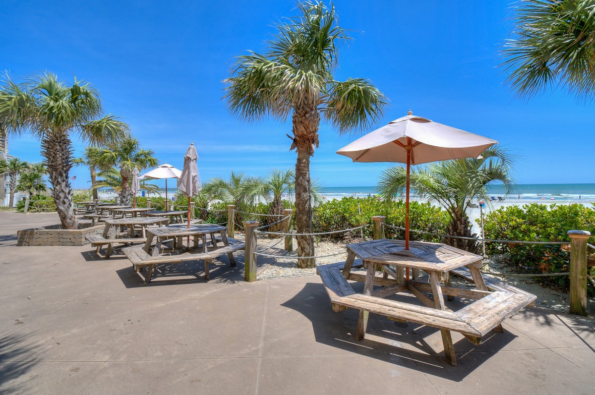 Picnic tables and palms on the oceanfront deck at Sands Ocean Club